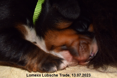 Lomexx Lübsche Trade, 13.07.2023