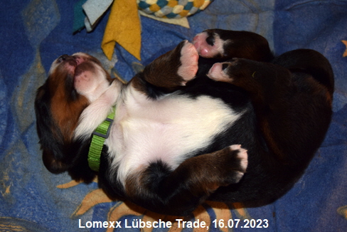 Lomexx Lübsche Trade, 16.07.2023