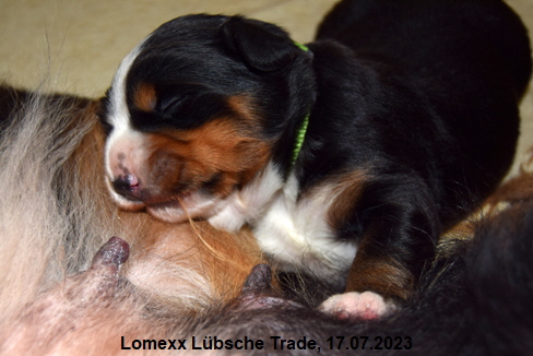 Lomexx Lübsche Trade, 17.07.2023
