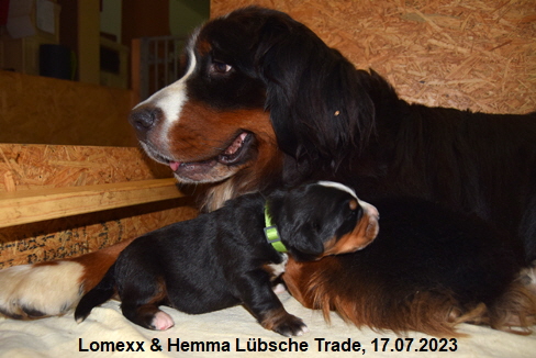 Lomexx & Hemma Lübsche Trade, 17.07.2023