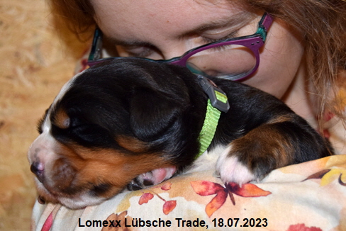 Lomexx Lübsche Trade, 18.07.2023