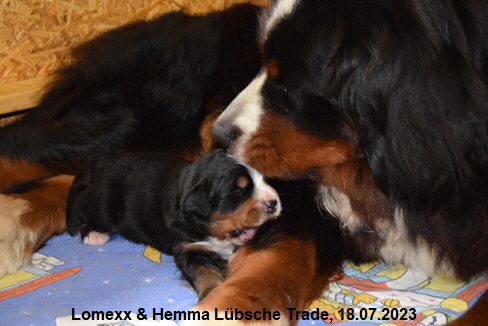 Lomexx & Hemma Lübsche Trade, 18.07.2023