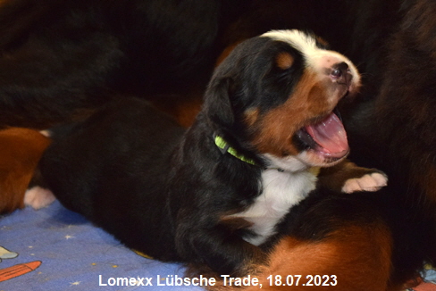 Lomexx Lübsche Trade, 18.07.2023