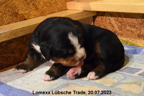 Lomexx Lübsche Trade, 20.07.2023