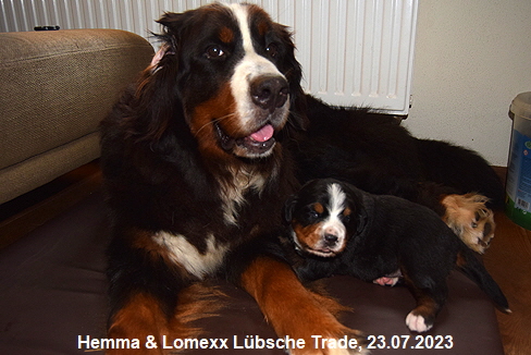 Hemma & Lomexx Lübsche Trade, 23.07.2023