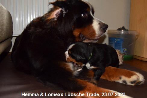 Hemma & Lomexx Lübsche Trade, 23.07.2023
