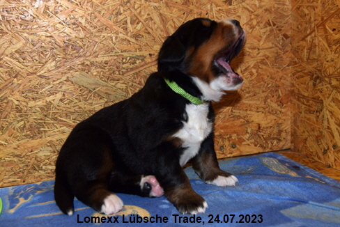 Lomexx Lübsche Trade, 24.07.2023