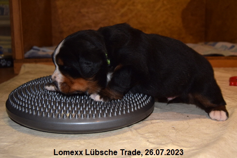 Lomexx Lübsche Trade, 26.07.2023