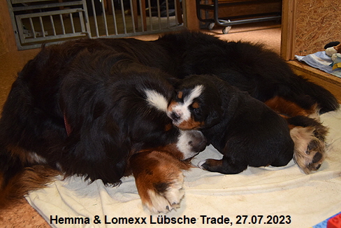 Hemma & Lomexx Lübsche Trade, 27.07.2023
