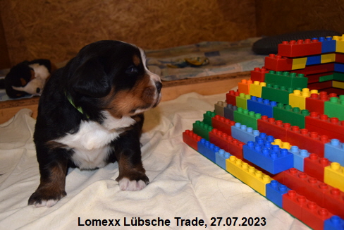 Lomexx Lübsche Trade, 27.07.2023