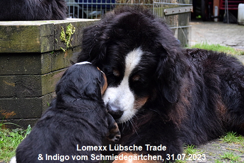 Lomexx Lübsche Trade & Indigo vom Schmiedegärtchen, 31.07.2023