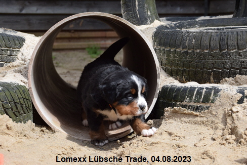 Lomexx Lübsche Trade, 04.08.2023