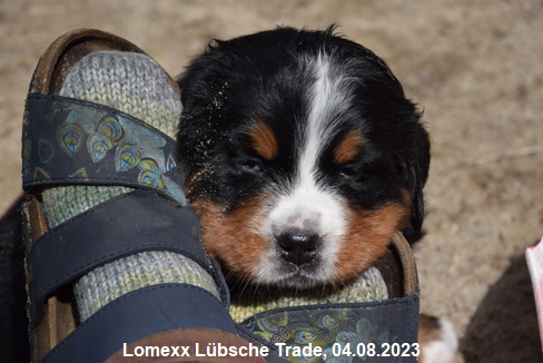 Lomexx Lübsche Trade, 04.08.2023