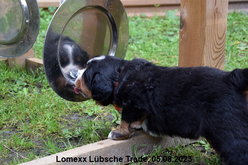 Lomexx Lübsche Trade, 05.08.2023