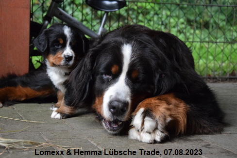 Lomexx & Hemma Lübsche Trade, 07.08.2023
