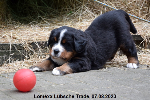 Lomexx Lübsche Trade, 07.08.2023