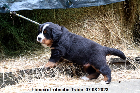 Lomexx Lübsche Trade, 07.08.2023