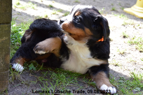 Lomexx Lübsche Trade, 09.08.2023