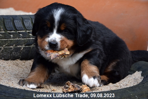 Lomexx Lübsche Trade, 09.08.2023