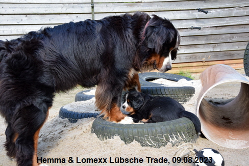 Hemma & Lomexx Lübsche Trade, 09.08.2023