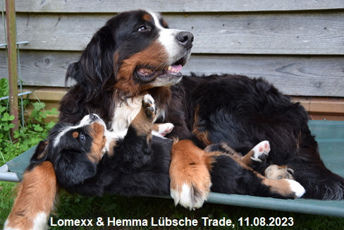 Lomexx & Hemma Lübsche Trade, 11.08.2023