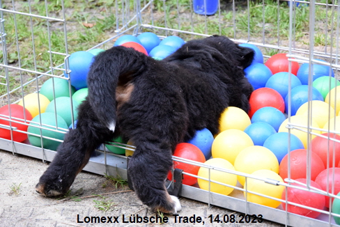 Lomexx Lübsche Trade, 14.08.2023