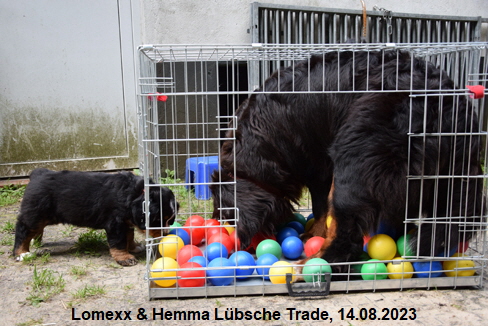 Lomexx & Hemma Lübsche Trade, 14.08.2023