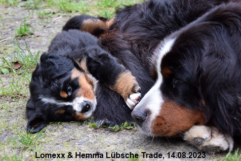 Lomexx & Hemma Lübsche Trade, 14.08.2023