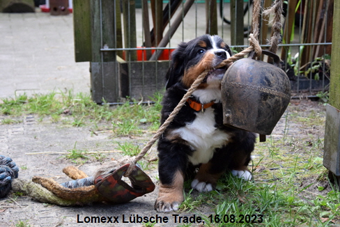 Lomexx Lübsche Trade, 16.08.2023