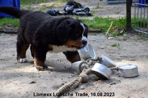Lomexx Lübsche Trade, 16.08.2023