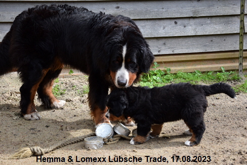 Hemma & Lomexx Lübsche Trade, 17.08.2023