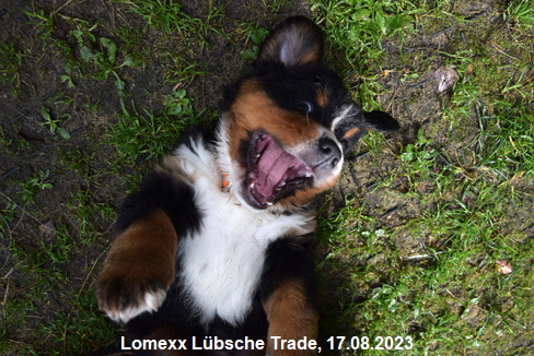 Lomexx Lübsche Trade, 17.08.2023