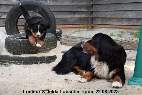 Lomexx & Jelda Lübsche Trade, 22.08.2023