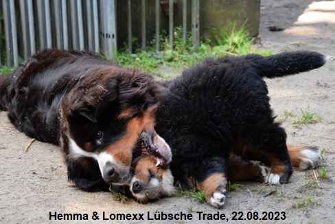 Hemma & Lomexx Lübsche Trade, 22.08.2023