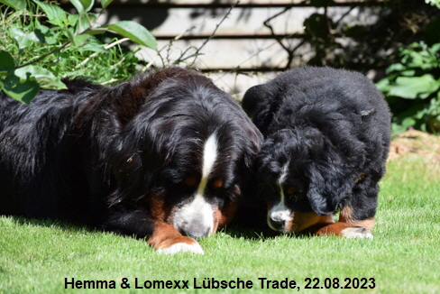 Hemma & Lomexx Lübsche Trade, 22.08.2023