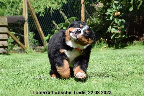 Lomexx Lübsche Trade, 22.08.2023