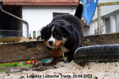 Lomexx Lübsche Trade, 25.08.2023