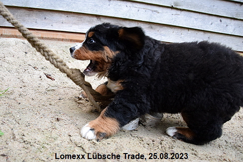 Lomexx Lübsche Trade, 25.08.2023