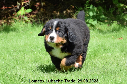 Lomexx Lübsche Trade, 29.08.2023