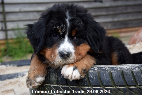 Lomexx Lübsche Trade, 29.08.2023