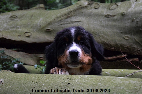 Lomexx Lübsche Trade, 30.08.2023