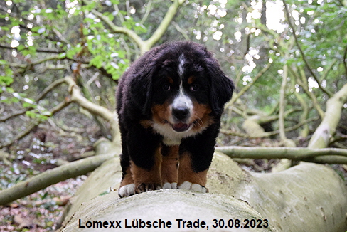 Lomexx Lübsche Trade, 30.08.2023