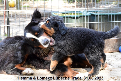 Hemma & Lomexx Lübsche Trade, 31.08.2023