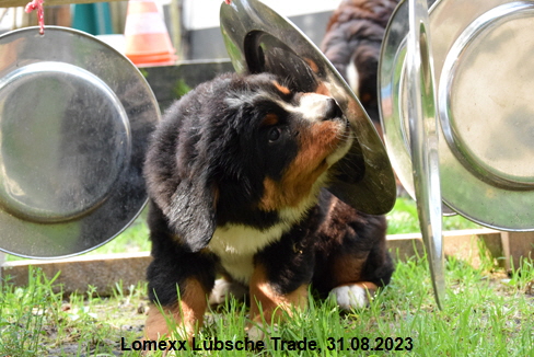 Lomexx Lübsche Trade, 31.08.2023