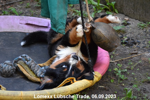 Lomexx Lübsche Trade, 06.09.2023