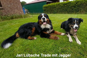 Jari Lbsche Trade mit Jagger