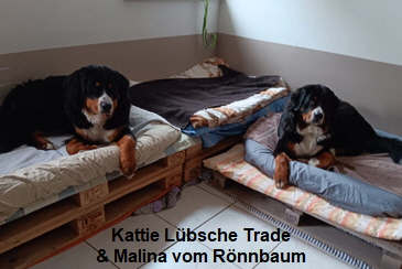Kattie Lbsche Trade & Malina vom Rnnbaum