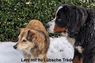 Leni mit Ito Lbsche Trade