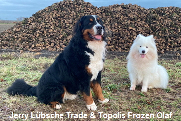 Jerry Lbsche Trade & Topolis Frozen Olaf