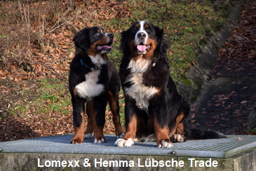 Lomexx & Hemma Lbsche Trade